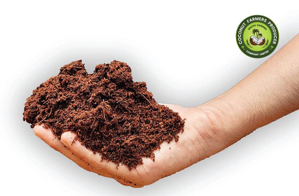 Coco Peat Coconut Farming